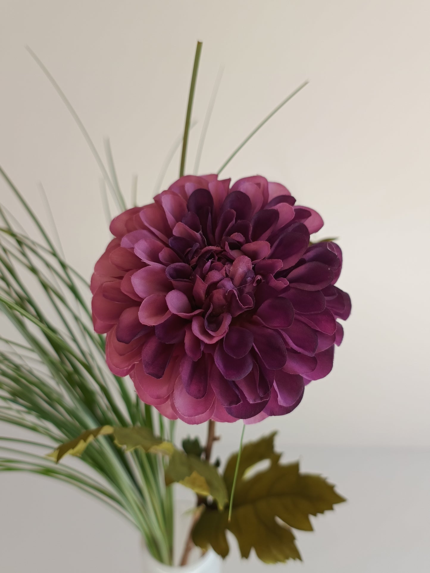 Dahlie Seidenblume