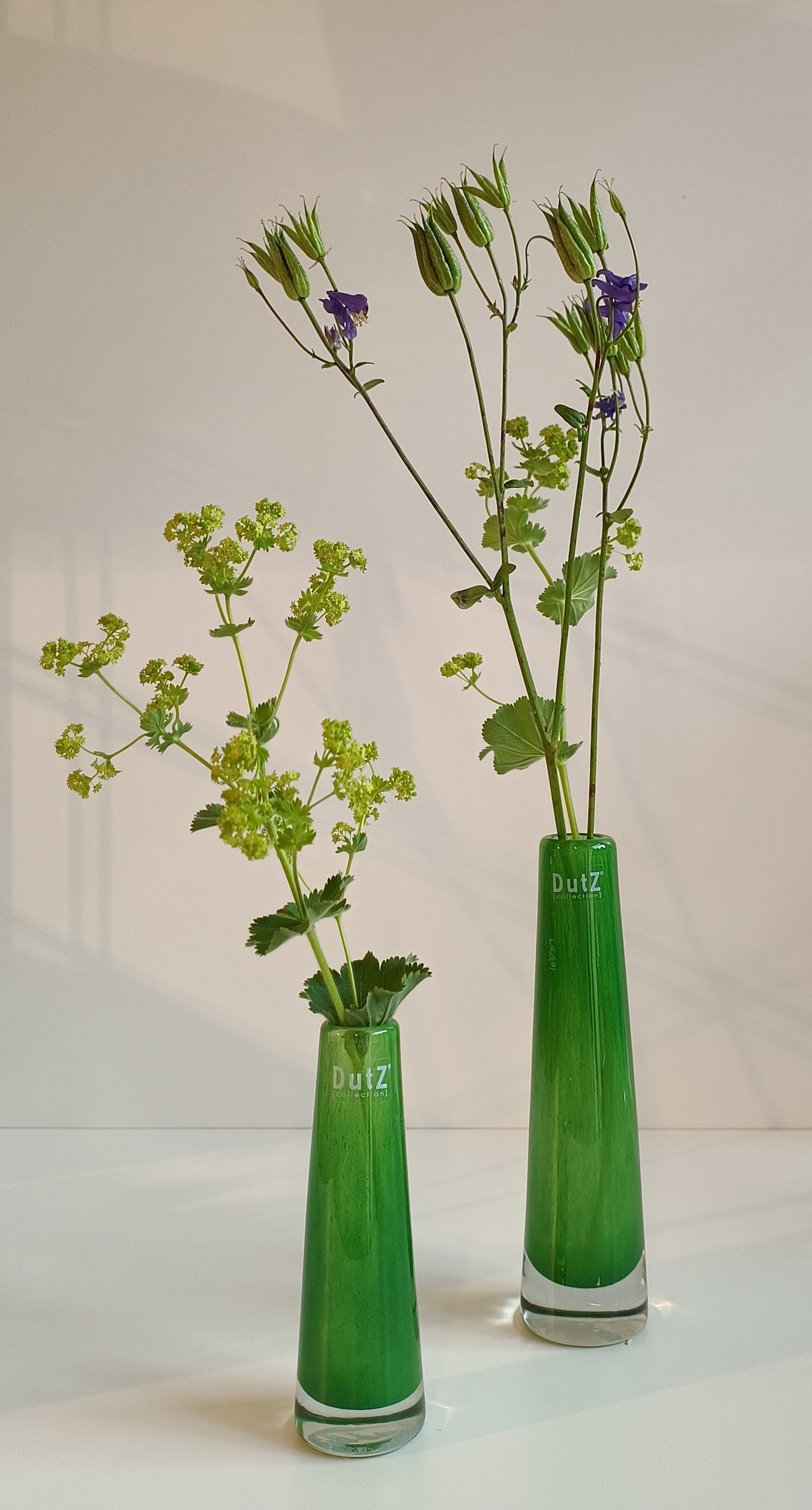DutZ Solifleur
