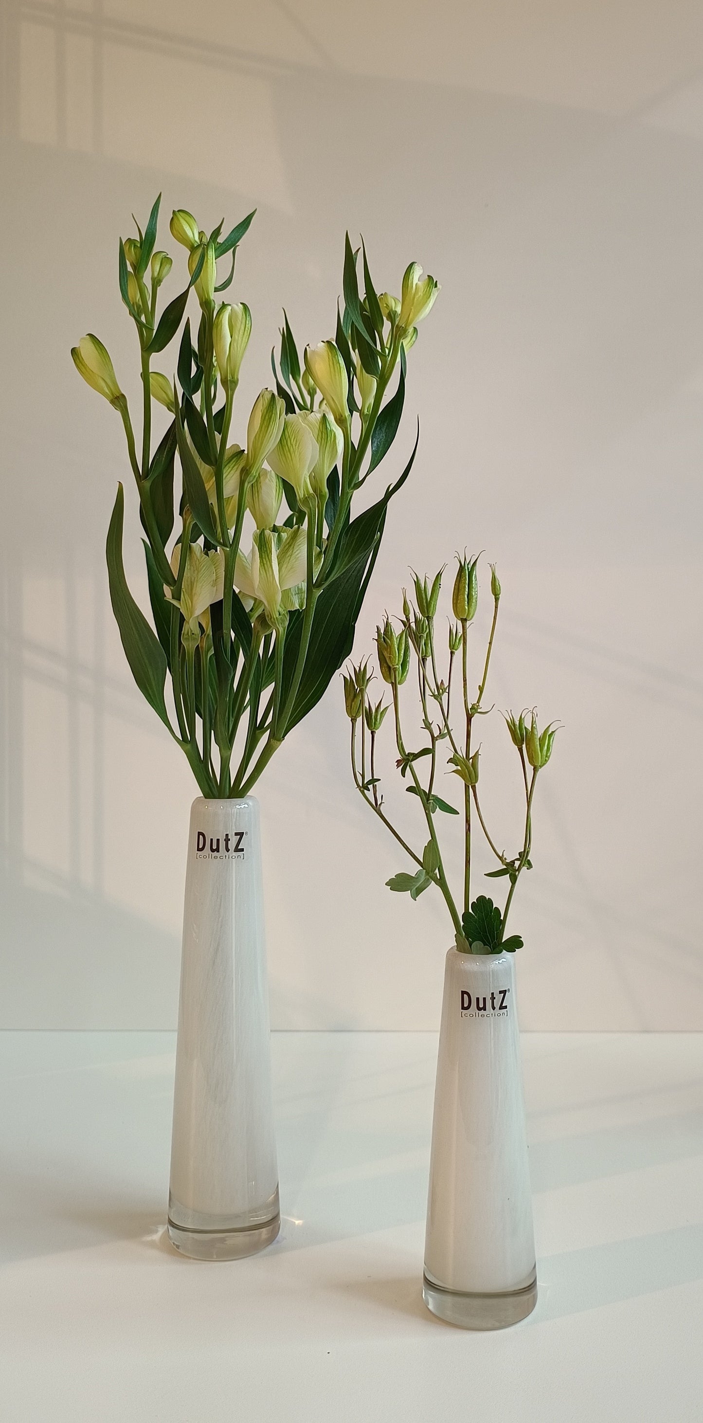 DutZ Solifleur