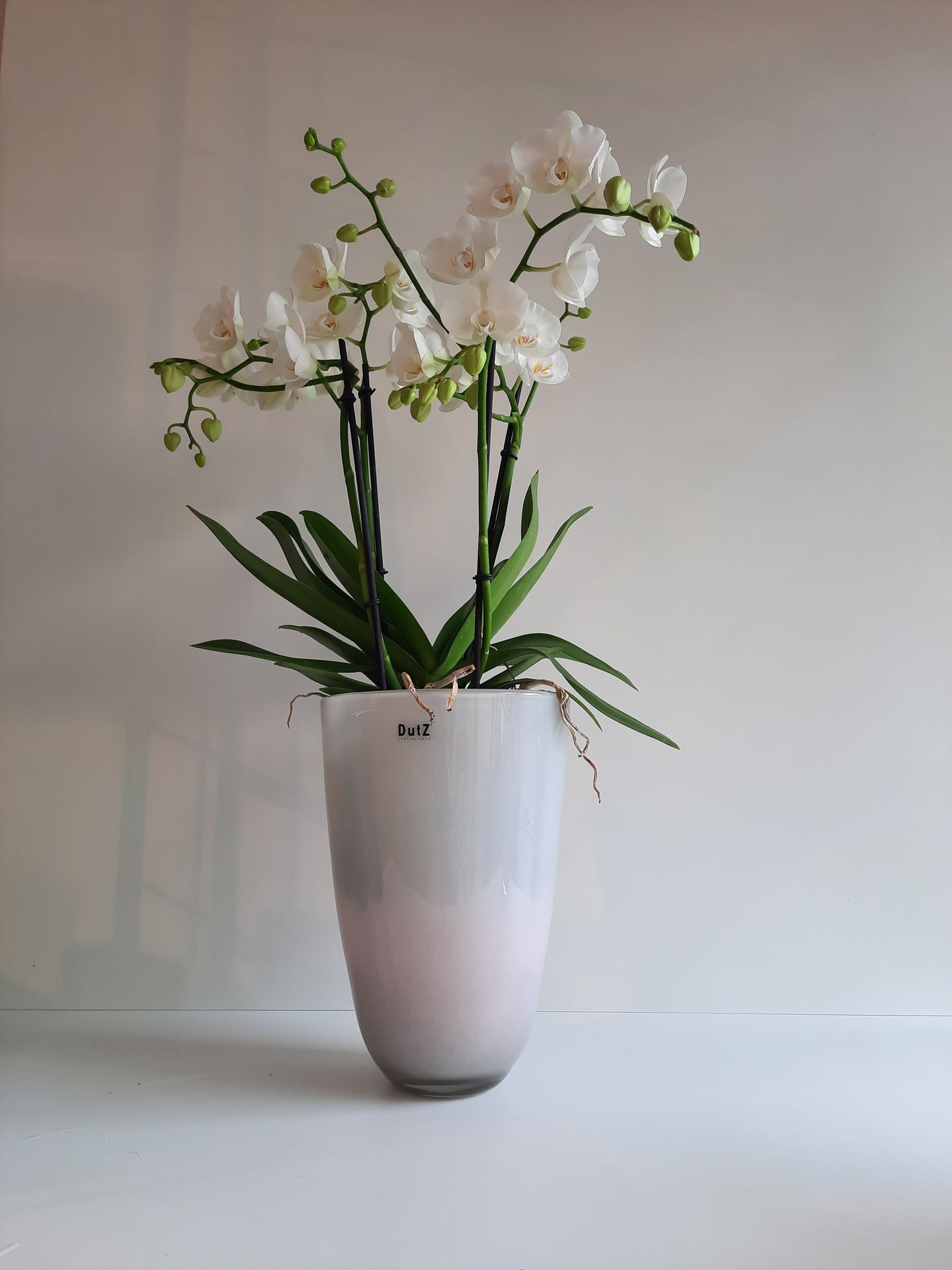 DutZ Flowervase