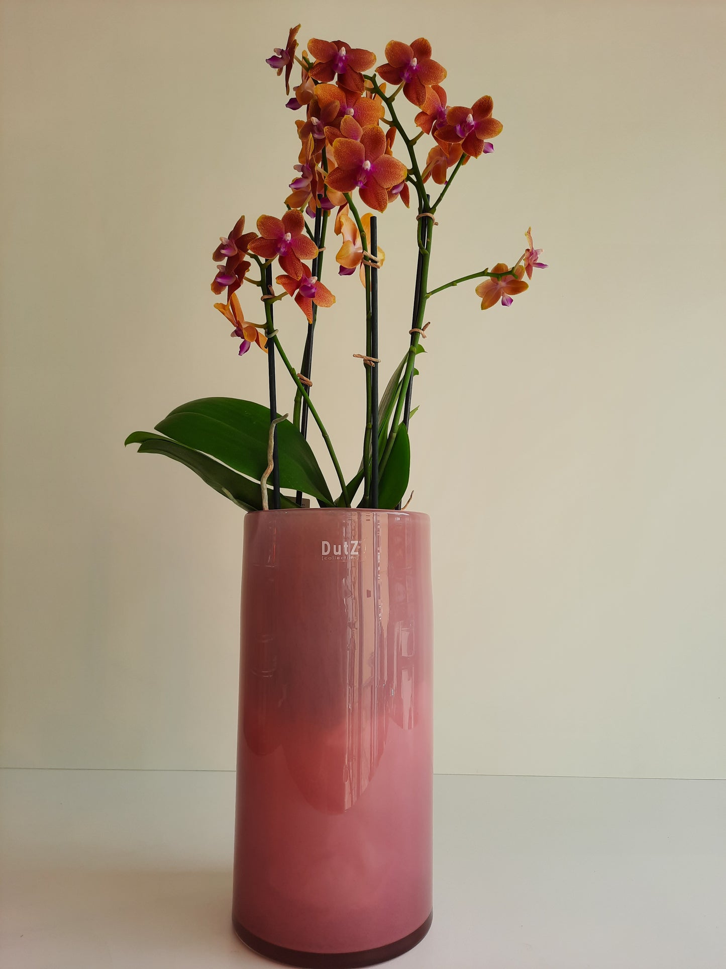 DutZ Vase Cylinder