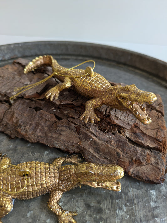 Krokodile